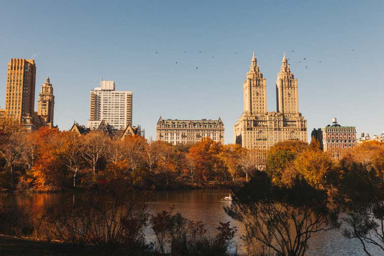 Central Park en estado puro