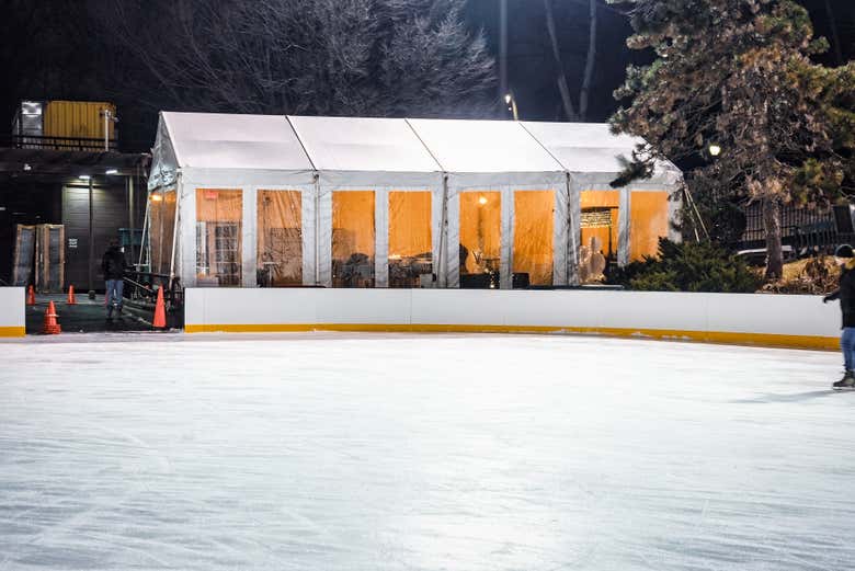 Detalle de la pista de Wollman Rink