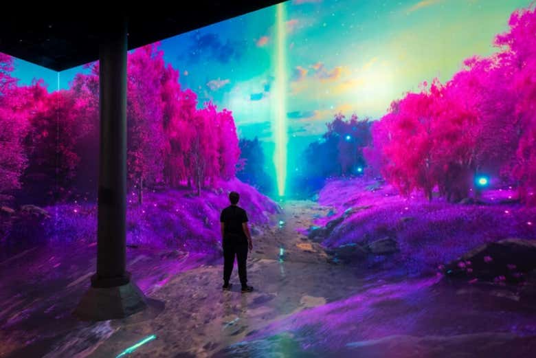 Une exposition d'art numérique étonnante à Artechouse NYC