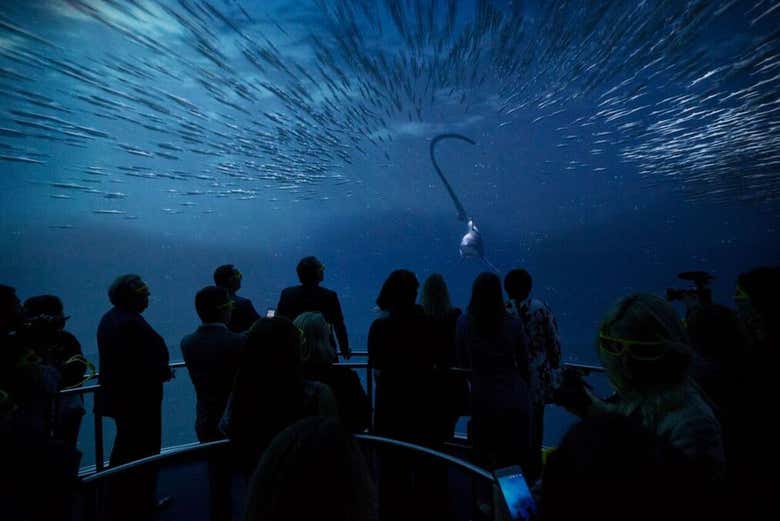 Encounter Ocean Odyssey
