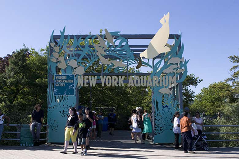 ¡Bienvenidos al Acuario de Nueva York!