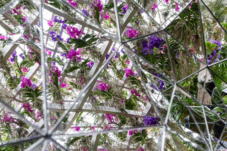 Jeu de miroirs du Jardin botanique