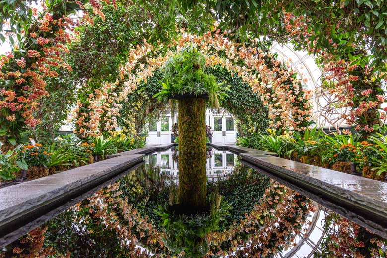 Étang du jardin botanique