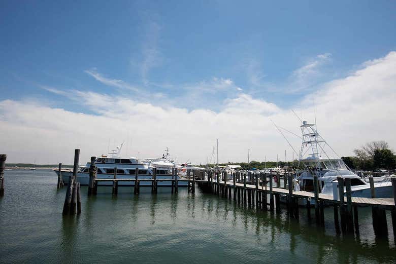 Tha Hamptons harbour