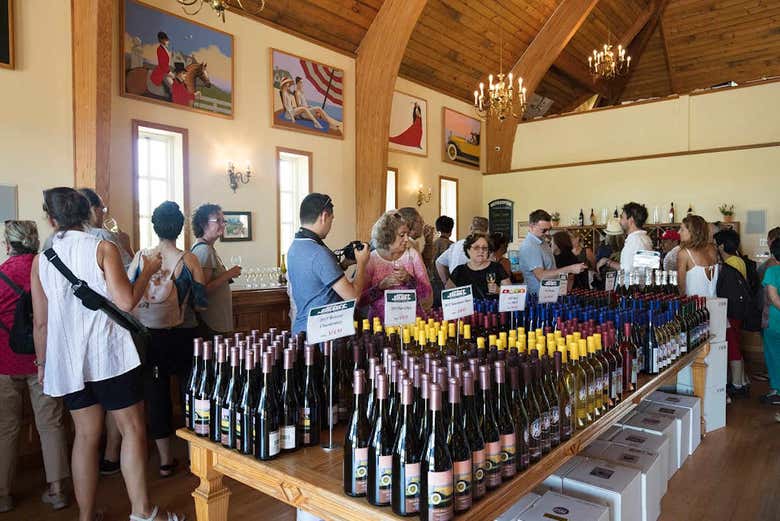 Degustazione di vino a Southampton