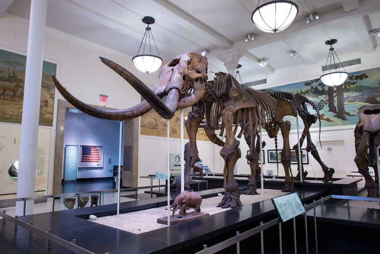 Exposición del Museo Americano de Historia Natural