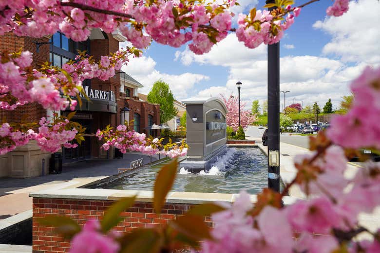 Una fuente de los outlets de Nueva York