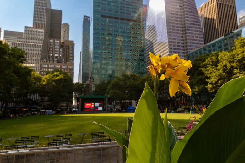 Contemplez les gratte-ciels de Manhattan