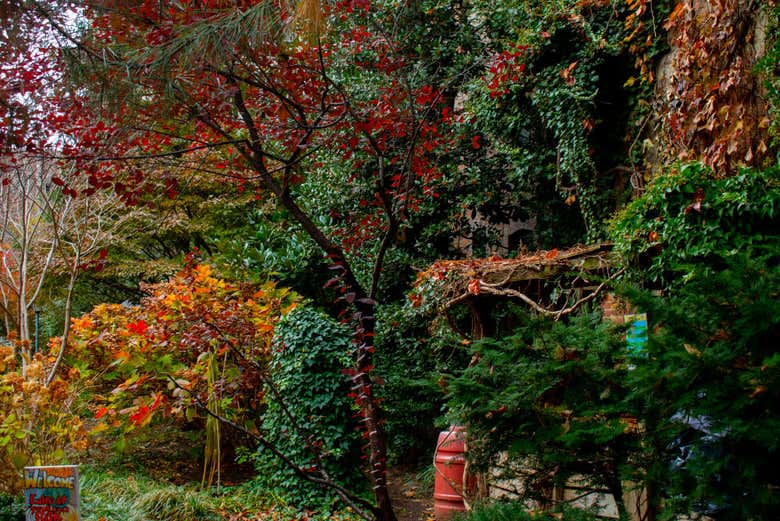 Jardines del Village