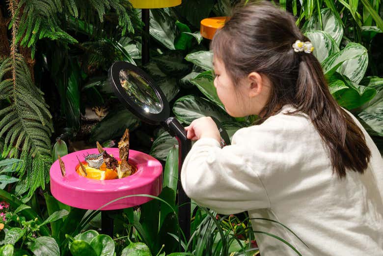 Disfrutando en el mariposario