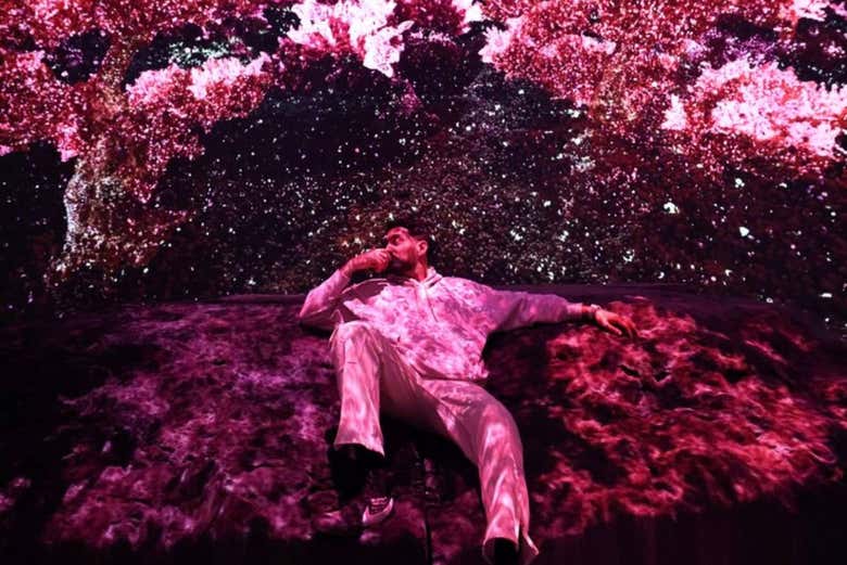 Una experiencia multisensorial
