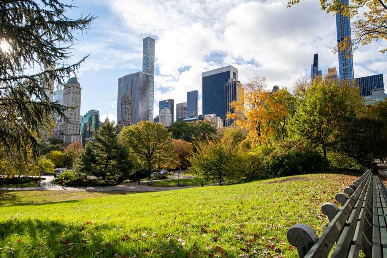 Los paisajes en el Central Park