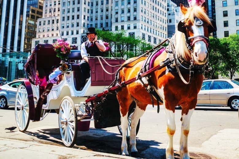 Paseo en calesa en Central Park