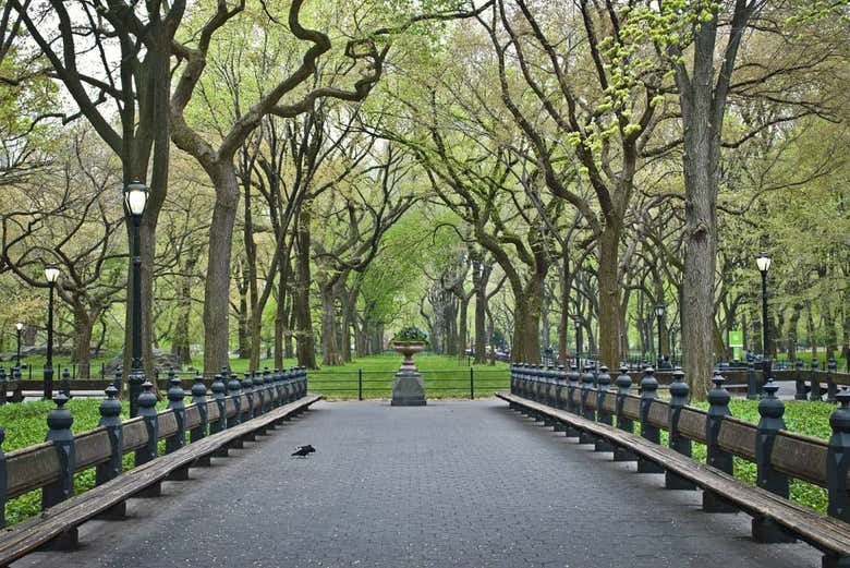 Promenade The Mall à Central Park