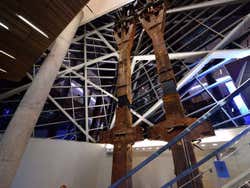 Museo del 11-S, columnas torres gemelas