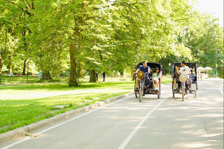 Balade dans Central Park en pouse-pousse