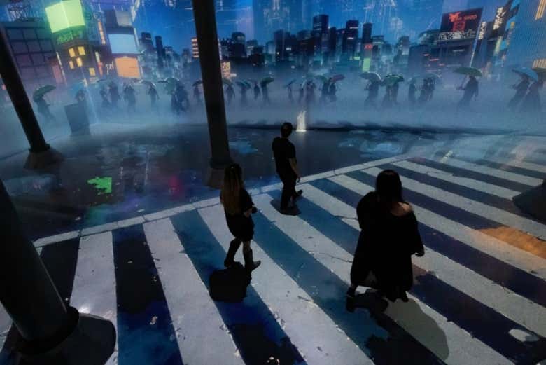 Un univers cinématographique de lumière et de couleurs