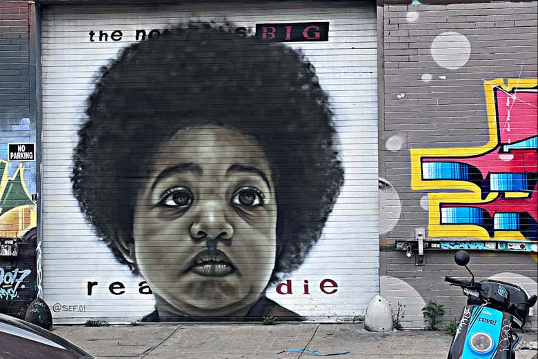 Pinturas carregadas de mensagens reivindicativas