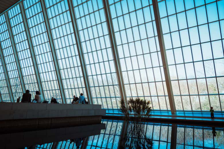 La struttura del MET