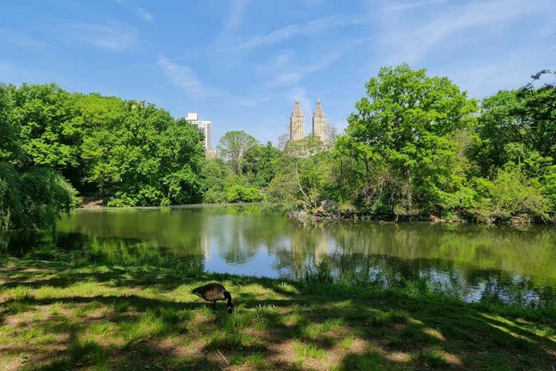 La vista desde el Zoológico de Central Park
