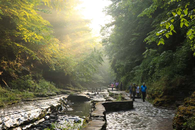 Parque estatal de Watkins Glen