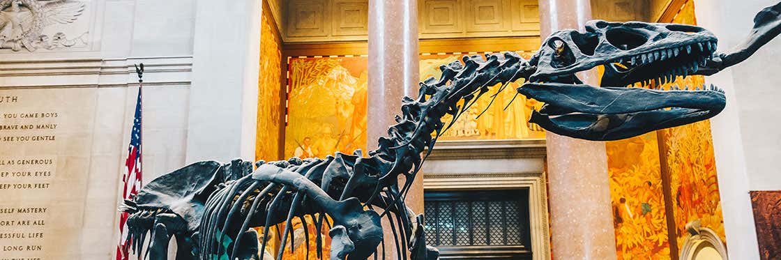 Museo de Historia Natural