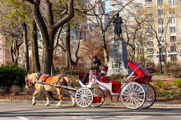 Passeio de carruagem pelo Central Park