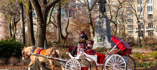 Balade en calèche dans Central Park