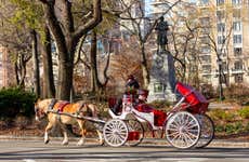 Private Central Park Carriage Rides