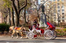 Paseo en calesa por Central Park