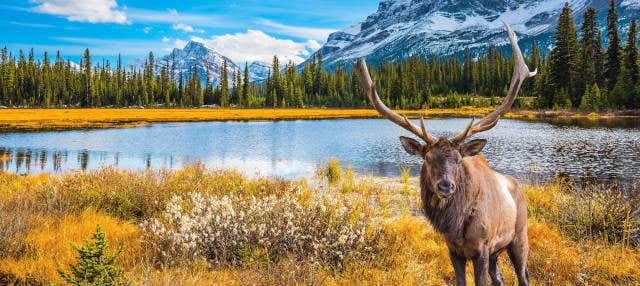 Tour de 7 días por lo mejor de Canadá