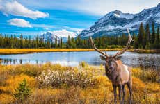 Tour de 7 días por lo mejor de Canadá