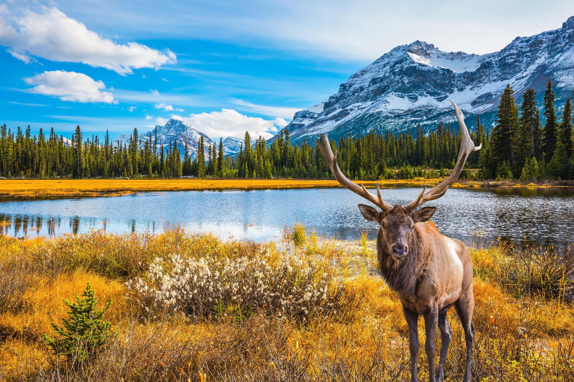 Canada Seven Day Tour