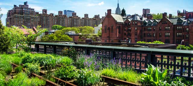 Tour por High Line y Hudson Yards