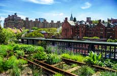 Tour por High Line y Hudson Yards