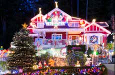 Luces de Navidad: Tour navideño por NY