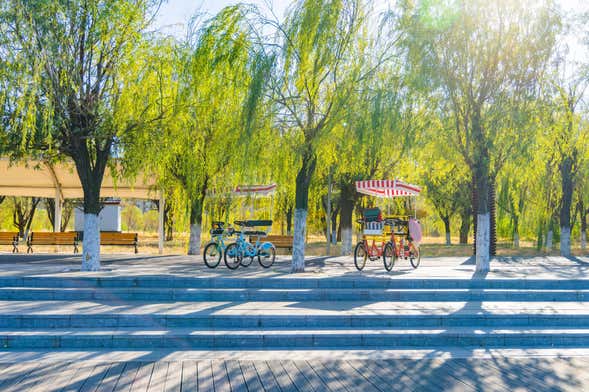 Tour en rickshaw por Central Park