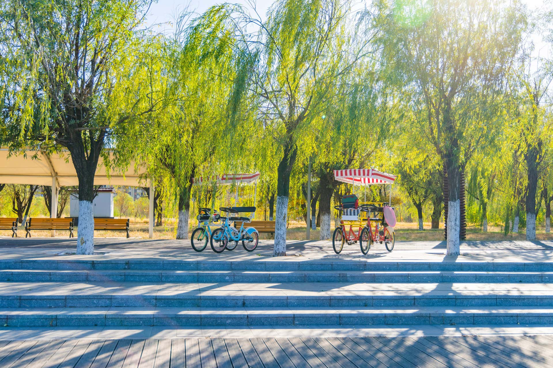 Tour de rickshaw pelo Central Park