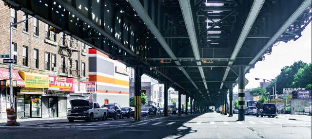 Visita guiada pelo Bronx