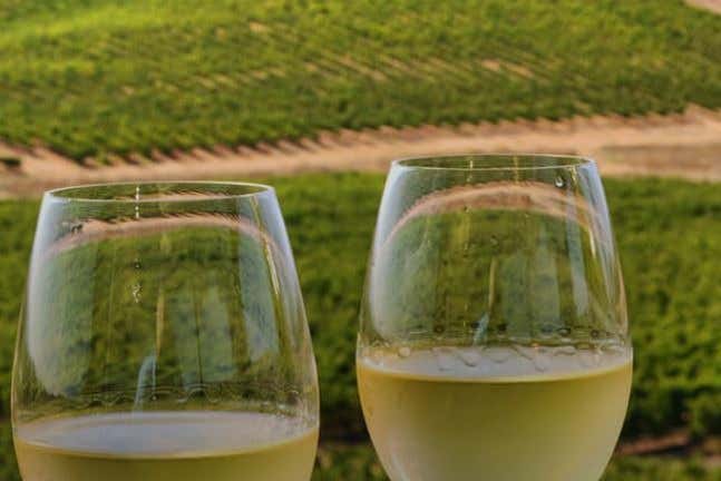 Yosemite Valley wines