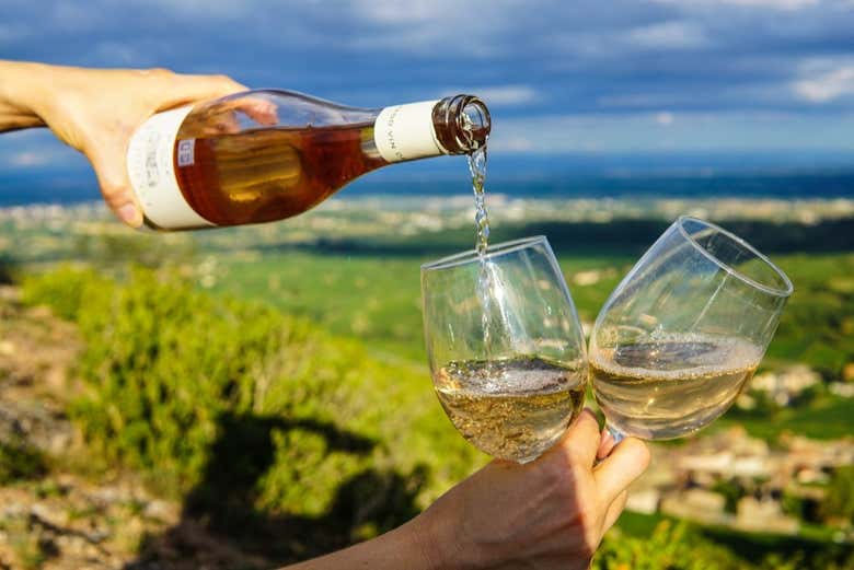 Tour del vino por el valle de Yosemite