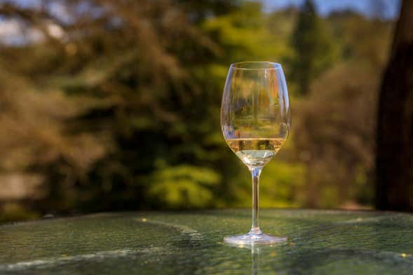 Tour del vino por el valle de Yosemite