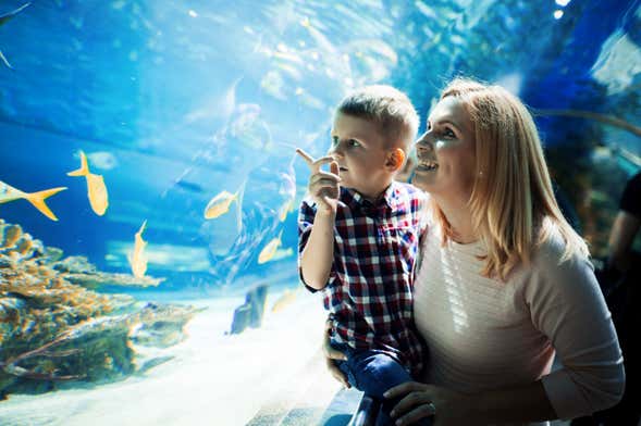 Billet pour SEA LIFE® Orlando