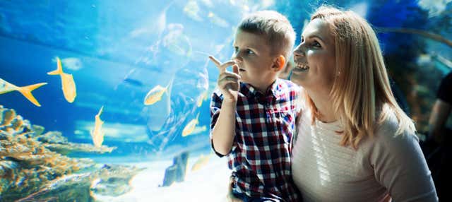 Ingresso do SEA LIFE® Orlando