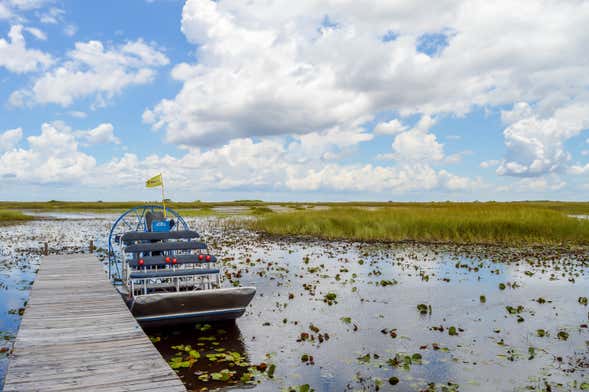 Excursión a los Everglades
