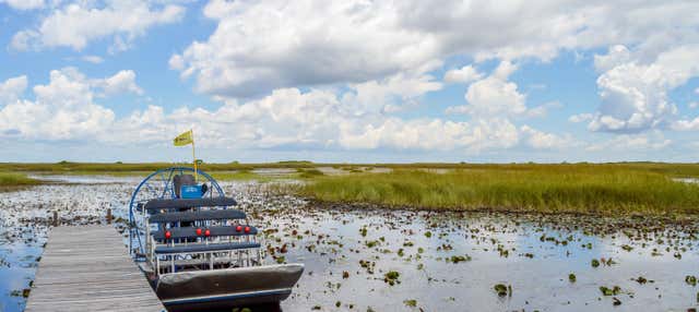 Excursión a los Everglades