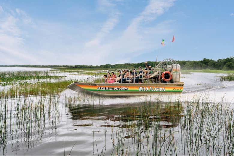 Sail among the mangroves and swamps of the Everglades 