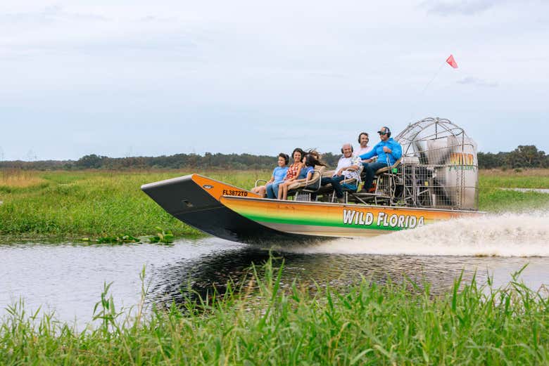 Explore the Everglades in the best way possible