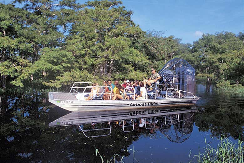 Exploring the Everglades by airboat