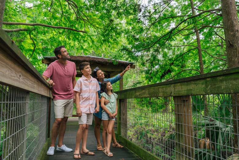 Un plan de lo más divertido para hacer con niños